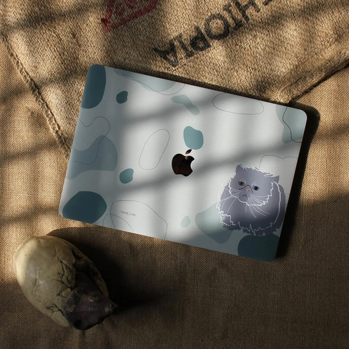 This is us design series Cute Cats Macbook case