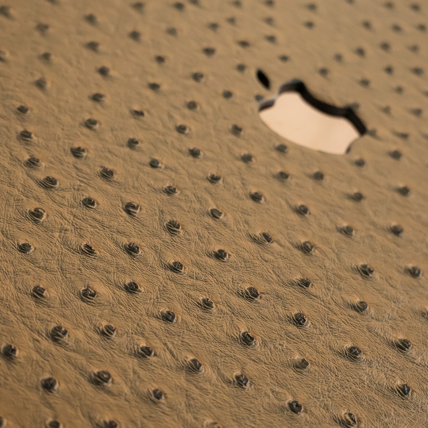 Leather Series Light Brown Camel Texture Mac Case